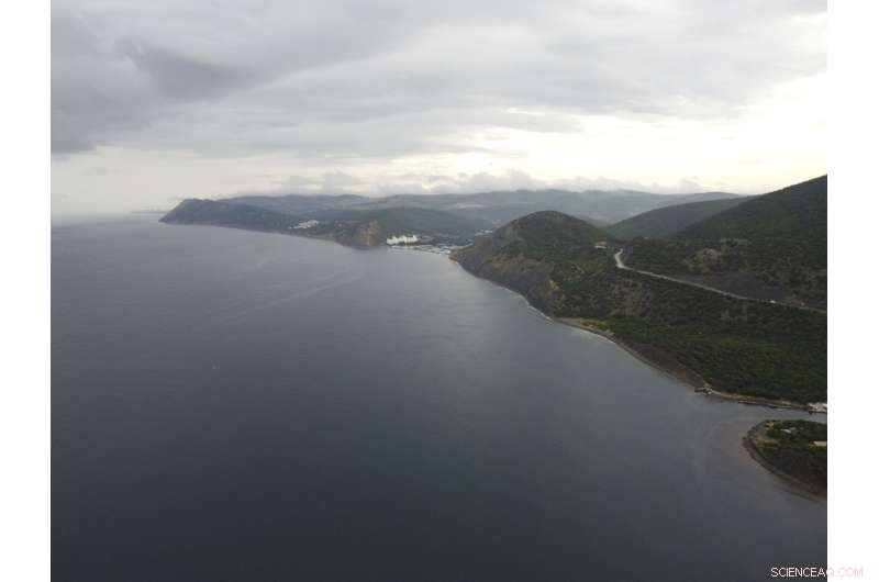 Russia Launches Investigation into Major Black Sea Oil Spill