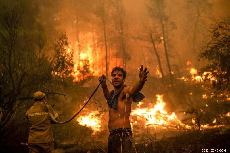 Greece Wildfires Contained: Reconstruction Efforts Begin