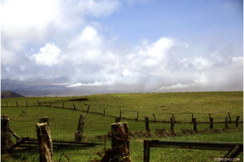 Climate-Driven Wildfires Devastate Tropical Pacific Islands