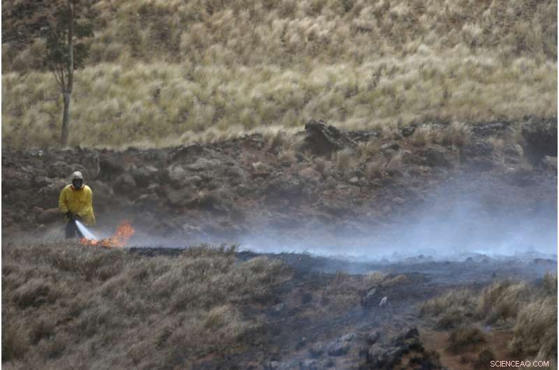 Climate-Driven Wildfires Devastate Tropical Pacific Islands