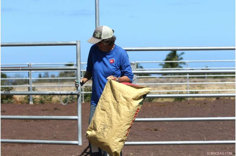 Climate-Driven Wildfires Devastate Tropical Pacific Islands