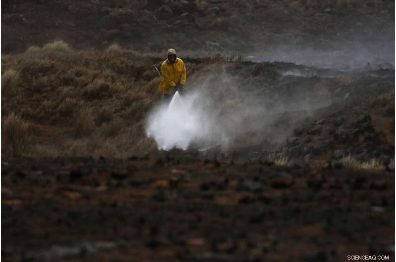 Climate-Driven Wildfires Devastate Tropical Pacific Islands
