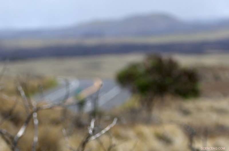 Climate-Driven Wildfires Devastate Tropical Pacific Islands