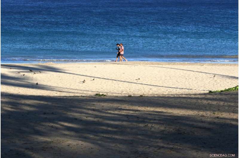 Climate-Driven Wildfires Devastate Tropical Pacific Islands