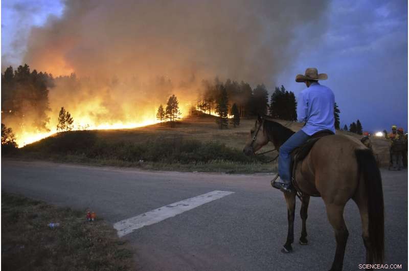 Wildfires Leave Ranchers Struggling in the U.S. West