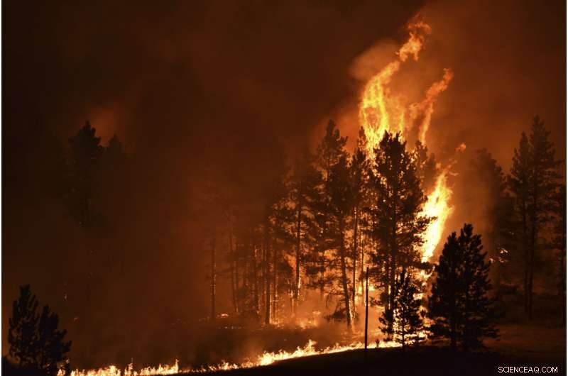 Wildfires Leave Ranchers Struggling in the U.S. West