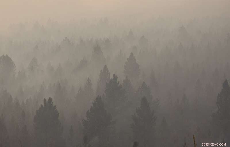 Wildfires Leave Ranchers Struggling in the U.S. West