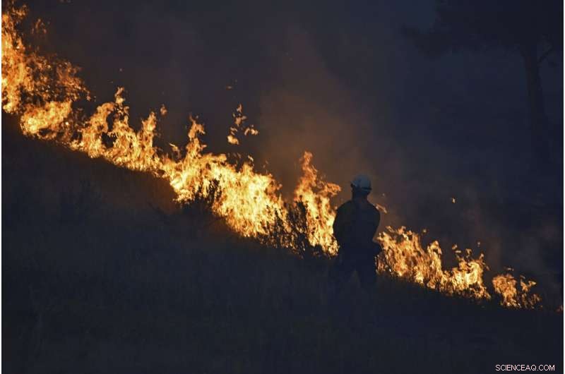 Wildfires Leave Ranchers Struggling in the U.S. West