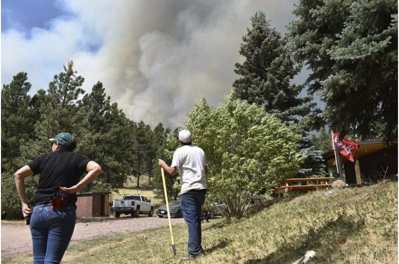 Wildfires Leave Ranchers Struggling in the U.S. West