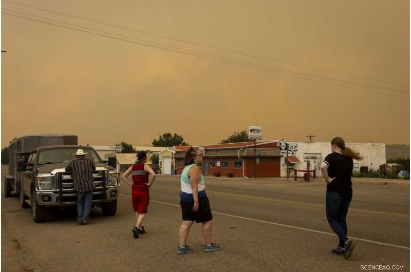 Wildfires Leave Ranchers Struggling in the U.S. West