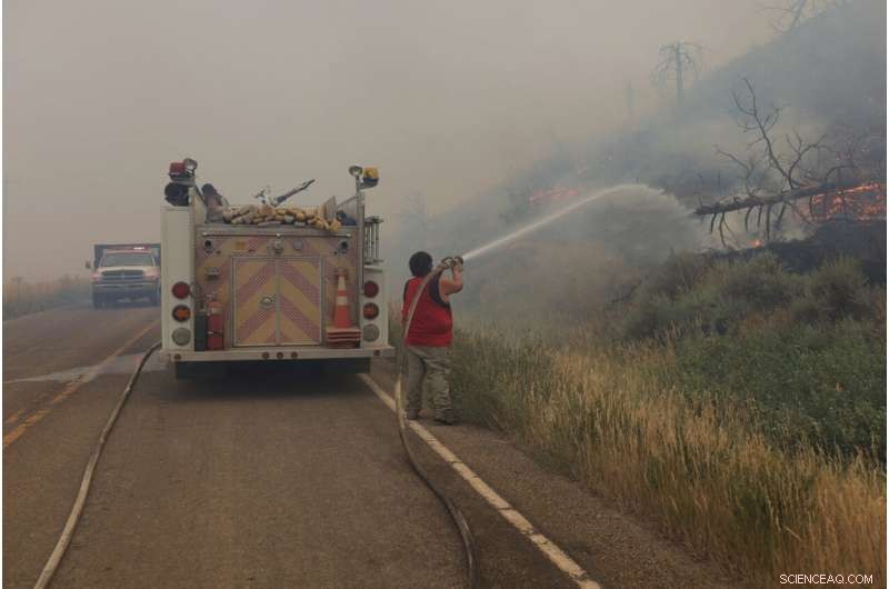 Wildfires Leave Ranchers Struggling in the U.S. West