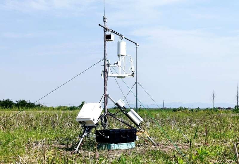 Advanced Sensor for Precise Atmospheric Ammonia Monitoring
