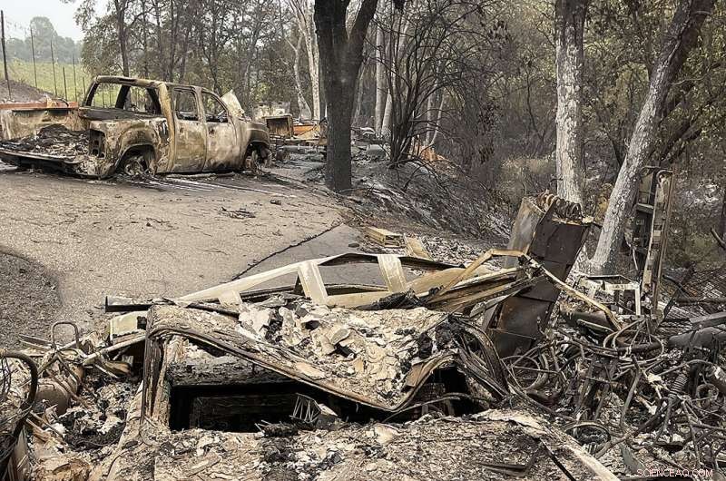 Massive Wildfires Threaten Montana and California Towns—Emergency Response Underway