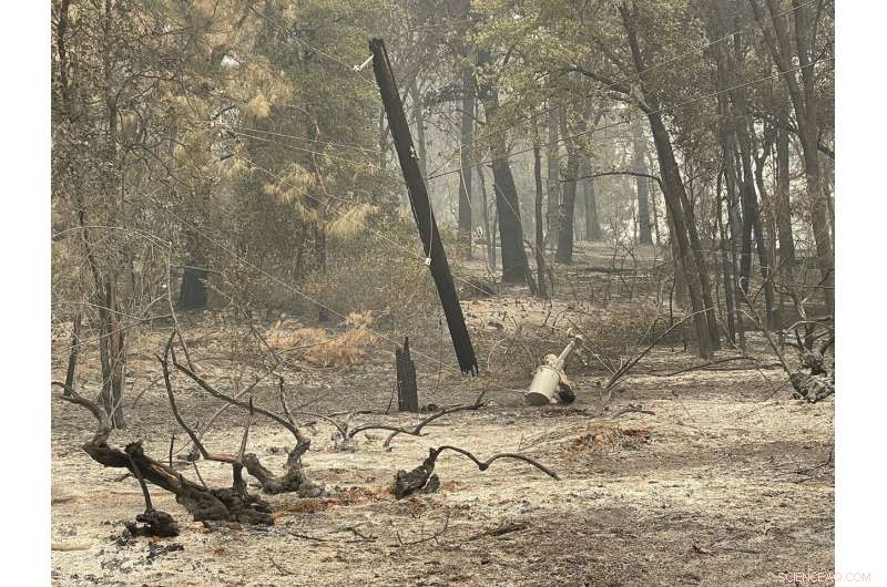 Massive Wildfires Threaten Montana and California Towns—Emergency Response Underway