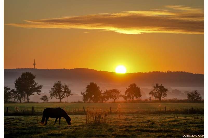 Spain Reaches Near Record Temperature of 47.2 °C Amid Unprecedented Heat Wave