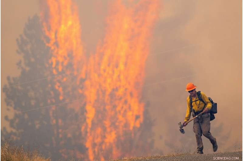 U.S. Forest Service Overwhelmed by Widespread Wildfires Across the West