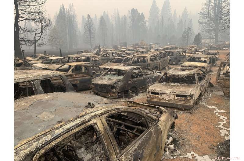 U.S. Forest Service Overwhelmed by Widespread Wildfires Across the West