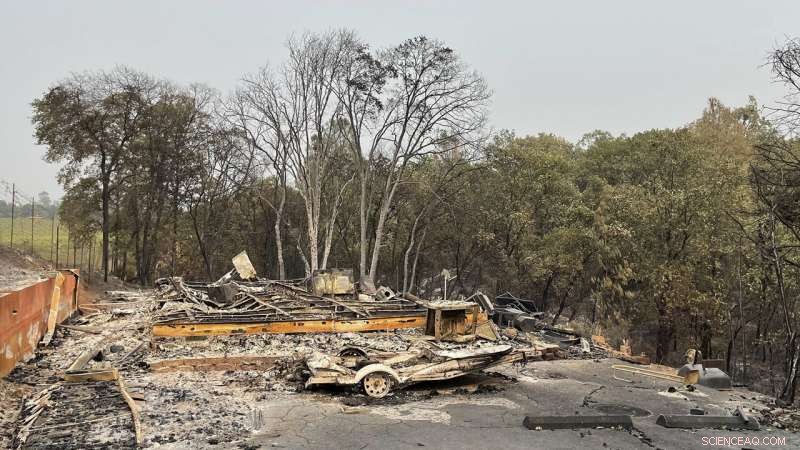 U.S. Forest Service Overwhelmed by Widespread Wildfires Across the West