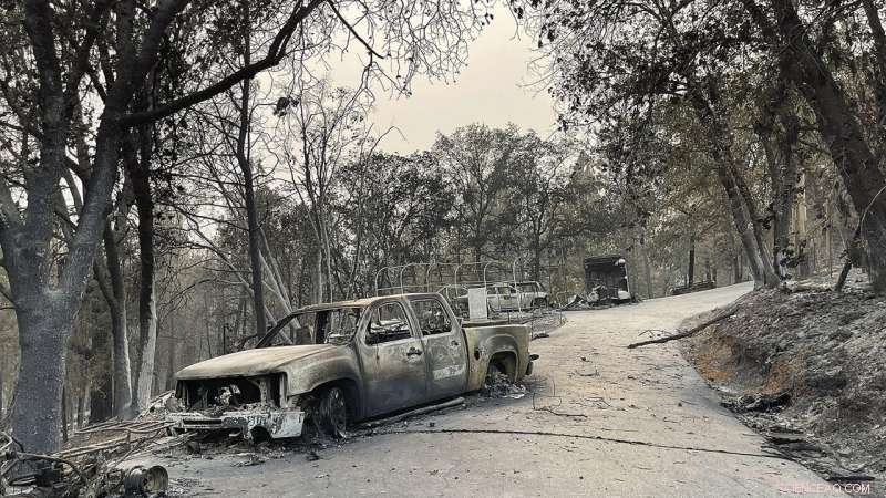U.S. Forest Service Overwhelmed by Widespread Wildfires Across the West
