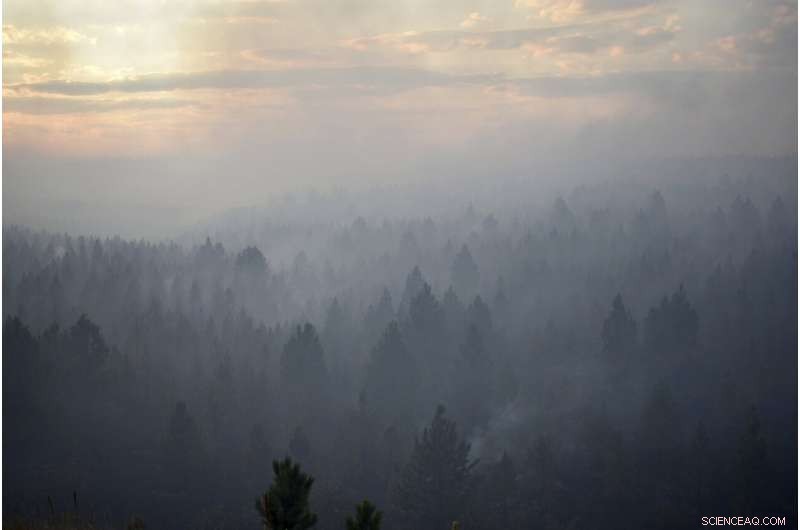 U.S. Forest Service Overwhelmed by Widespread Wildfires Across the West