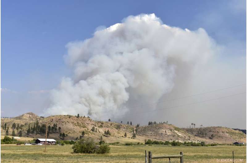 U.S. Forest Service Overwhelmed by Widespread Wildfires Across the West