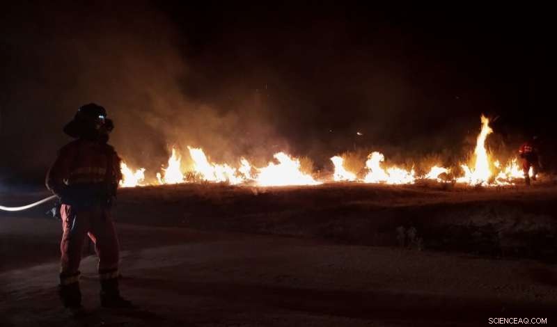 Spain Grapples with Record Heat and Devastating Fires in Avila Province