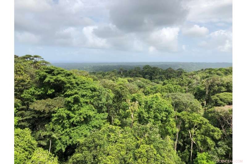 Indigenous Territories Lead Climate Action