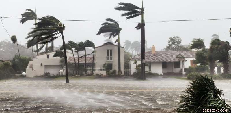 Coastal Wetlands: The Most Reliable, Affordable Storm Defense