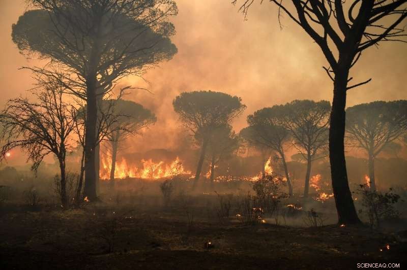 French Firefighters Battle Third-Day Inferno Along the Riviera Coast
