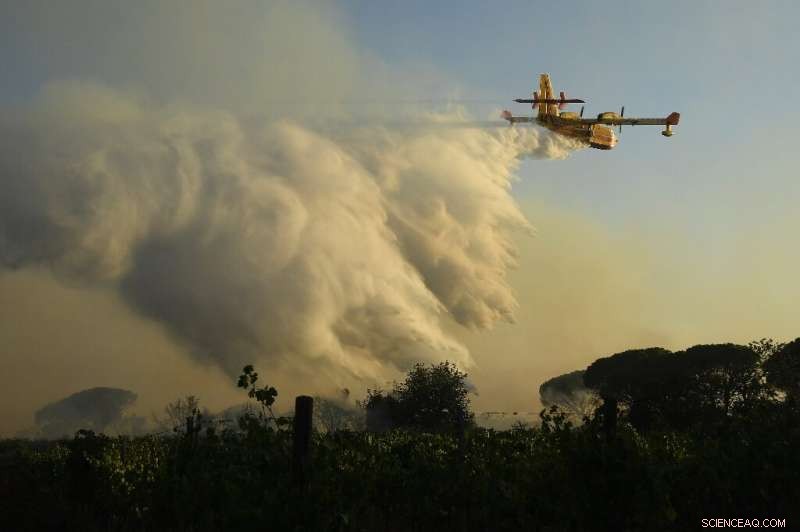 French Firefighters Battle Third-Day Inferno Along the Riviera Coast