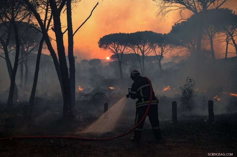 French Firefighters Battle Third-Day Inferno Along the Riviera Coast