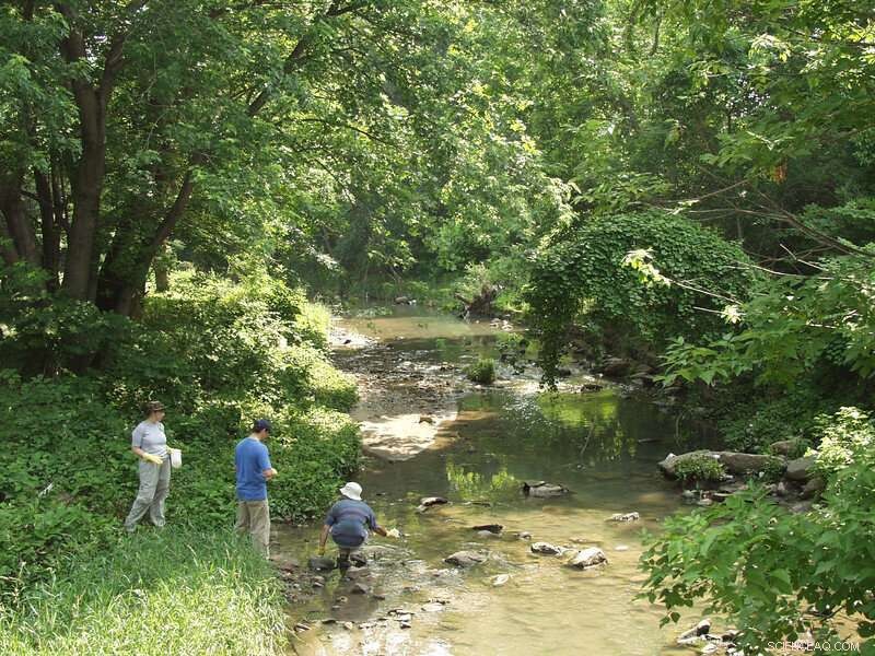 Baltimore’s Aging Sewage Infrastructure Leaks Pharmaceuticals into the Chesapeake Bay