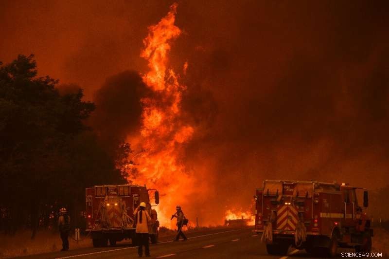 California Wildfire Near Sacramento Swells to 54,000 Acres