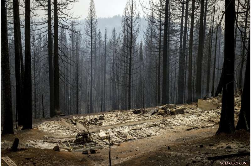 Wildfires Undermine California s Climate Action Efforts
