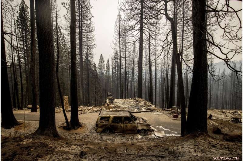 Wildfires Undermine California s Climate Action Efforts