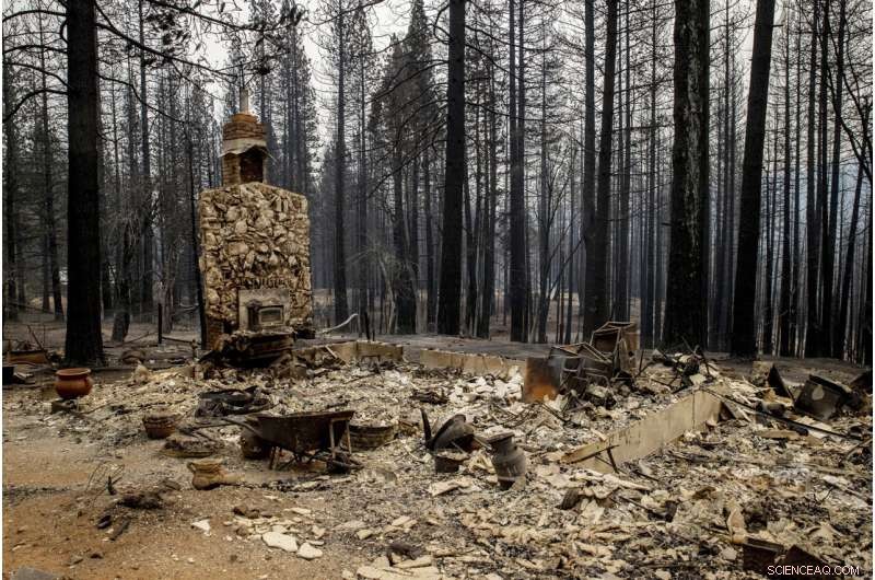 Wildfires Undermine California s Climate Action Efforts