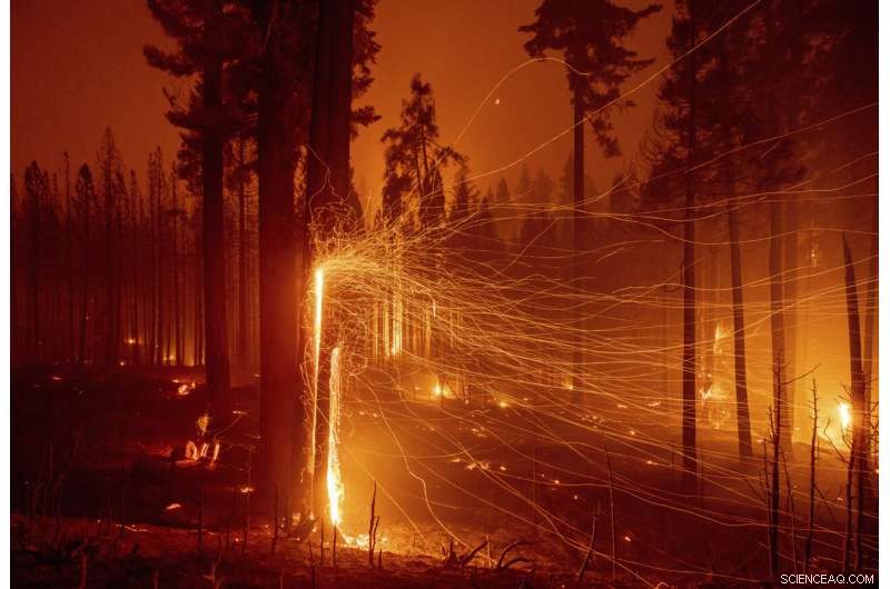 Wildfires Undermine California s Climate Action Efforts