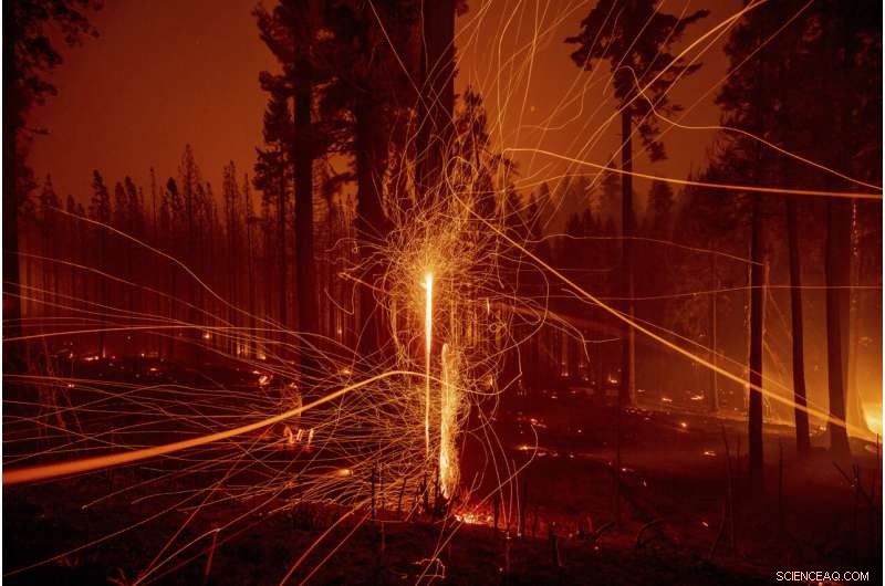 Wildfires Undermine California s Climate Action Efforts