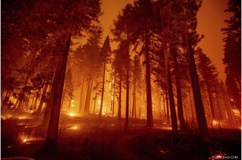 Wildfires Undermine California s Climate Action Efforts