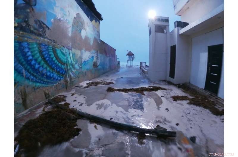 Hurricane Grace Weakens to Tropical Storm After Lashing Mexico’s Caribbean Coast