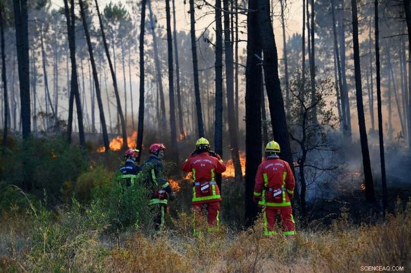 Improved Weather Conditions Boost Confidence in Containing French Riviera Wildfire