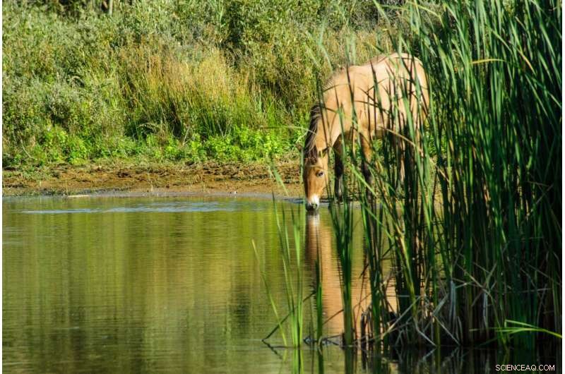 Research Shows Hydraulic Fracking Can Affect Surface Water Quality