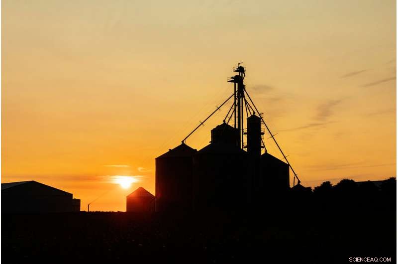 Harnessing Nutrient-Rich Human Waste: Boosting Agriculture and Economic Growth