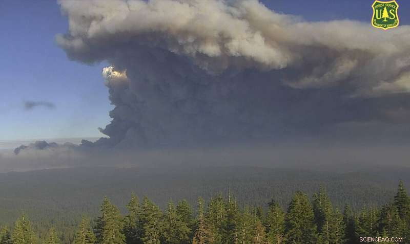 California Wildfires May Persist Into December, Raising Concerns