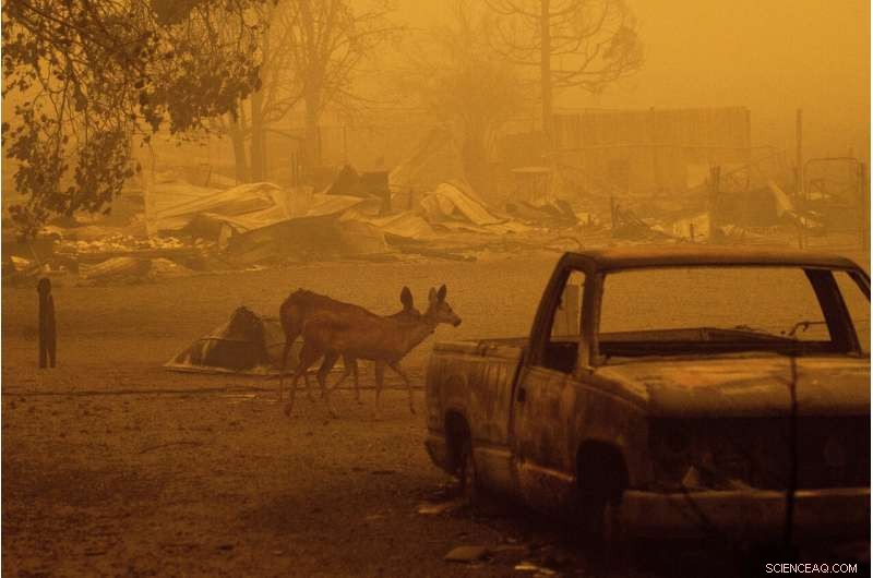 California Wildfires May Persist Into December, Raising Concerns