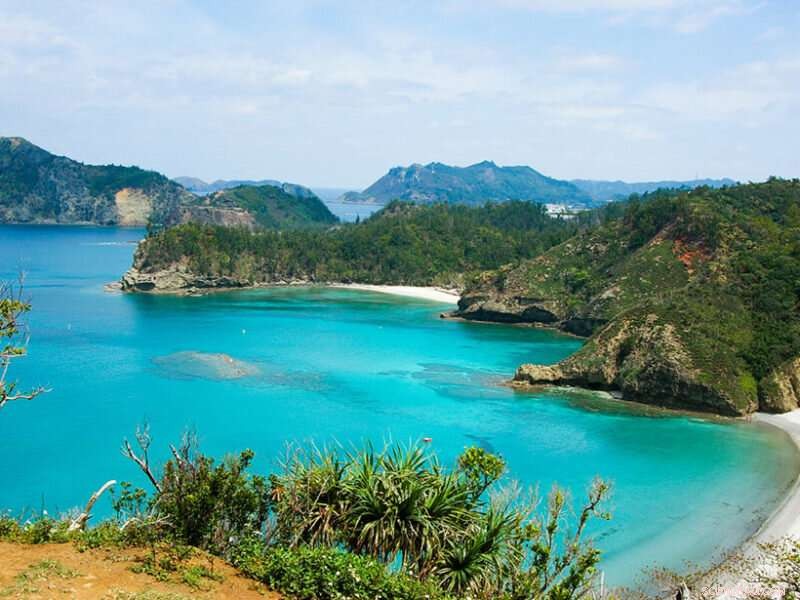 4D Back‑Projection Uncovers 2015 Earthquake Originated in the Lower Mantle