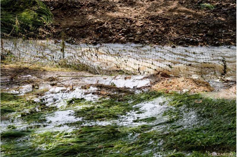 Massive Flooding in Rural Tennessee: 17-Inch Rainstorm Claims 10 Lives