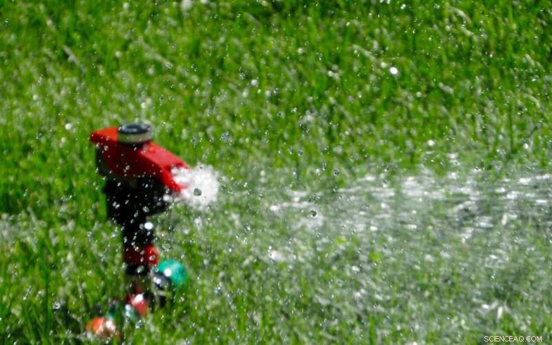 Orlando Mayor Calls for Urgent Water Use Cuts During COVID-19 Surge