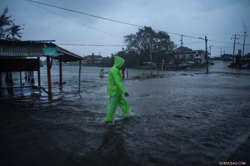 Hurricane Grace Causes Eight Fatalities and Widespread Damage in Eastern Mexico