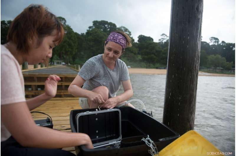 Storms Reshape Barrier Island Marine Ecosystems